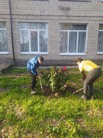 Будни школьного лесничества "Крепкий орешек".